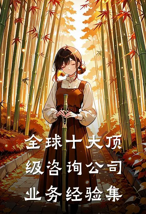 全球十大顶级咨询公司业务经验集(贝恩麦肯锡)好看的完结小说_热门小说推荐全球十大顶级咨询公司业务经验集贝恩麦肯锡