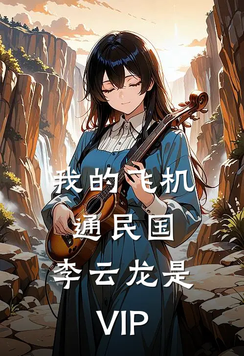 我的飞机通民国，李云龙是VIP
