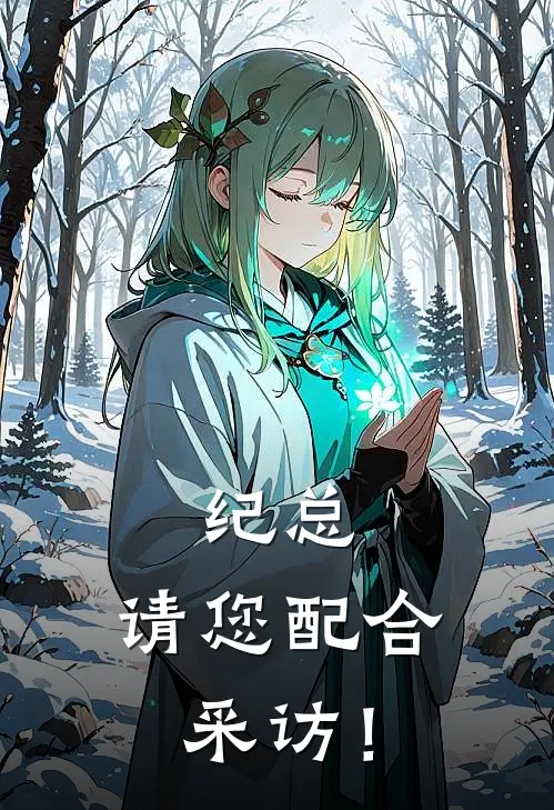 纪总，请您配合采访！