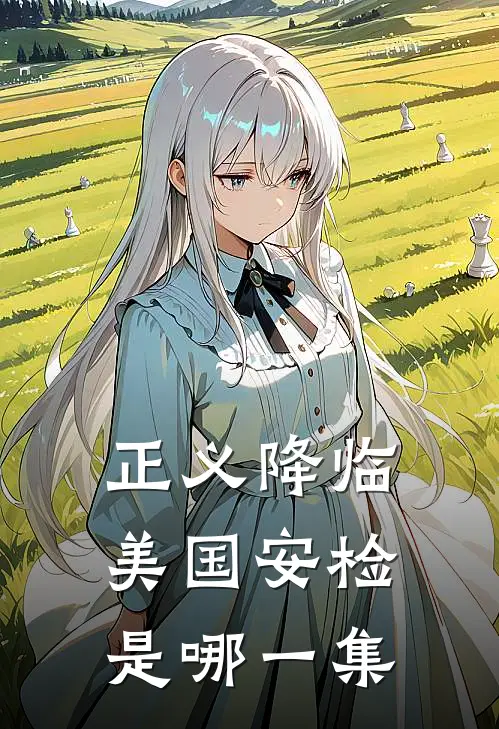 正义降临美国安检是哪一集