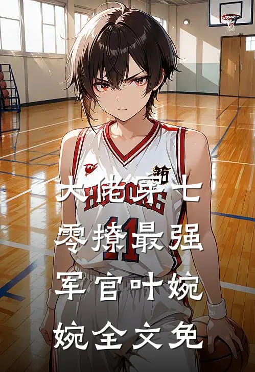 大佬穿七零撩最强军官叶婉婉全文免